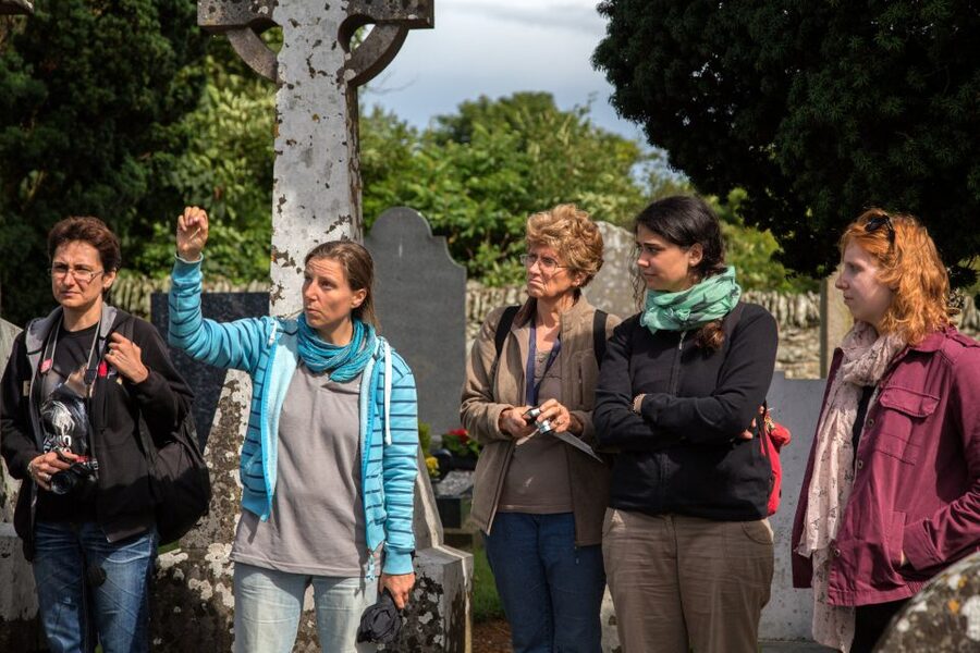 From Dublin: Celtic Boyne Valley and Ancient Sites Tour - Dublin to the Boyne Valley: start at Molly Malone, then settle in