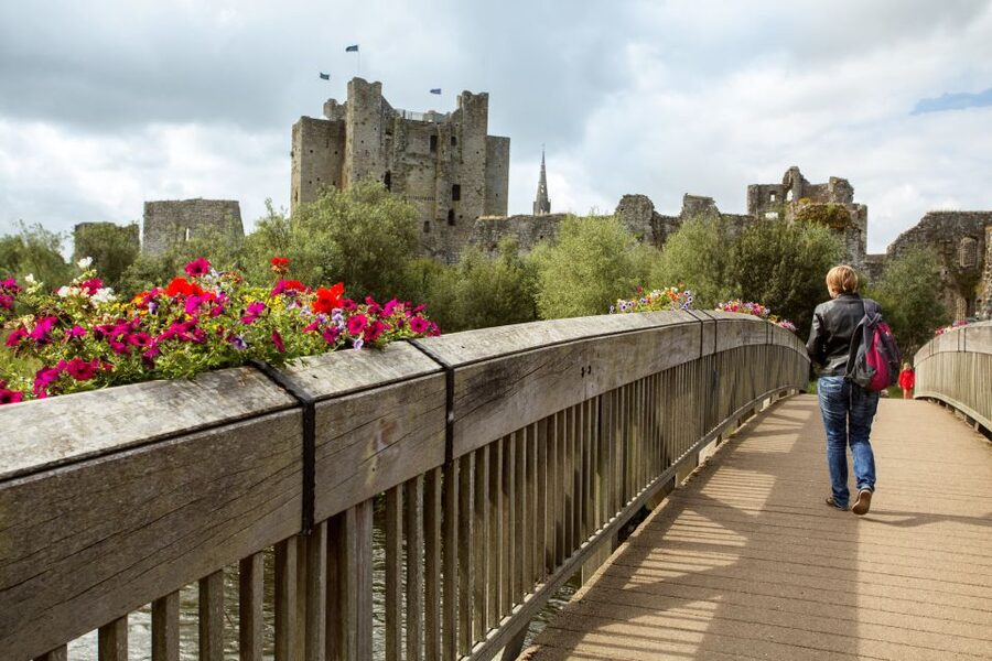 From Dublin: Celtic Boyne Valley and Ancient Sites Tour - Fore Abbey: Saint Fechin’s monastery ruins and the 300-monks era
