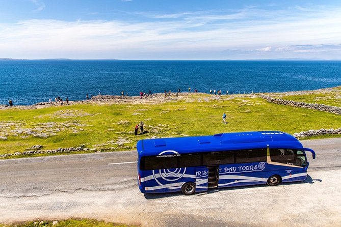 From Dublin: Cliffs of Moher, Bird of Prey & Aillwee Cave - Meeting at Molly Malone and Road-Time Reality: What to Expect on the Coach
