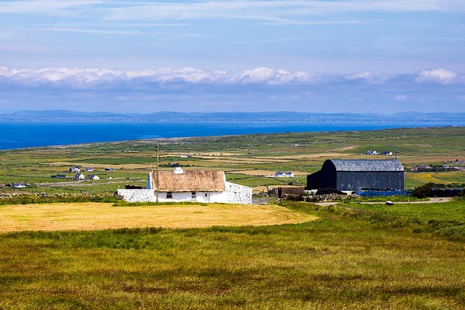 From Dublin: Cliffs of Moher, Bird of Prey & Aillwee Cave - Price and Value at $126.15: What You’re Really Buying