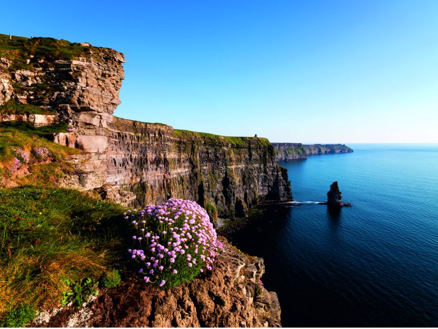 From Dublin: Cliffs of Moher Small Group Tour - The guide and group size factor that changes the whole feel