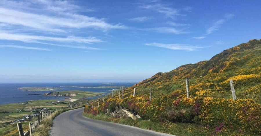 From Dublin: Connemara and Galway Bay Day Tour - Key things to know before you go