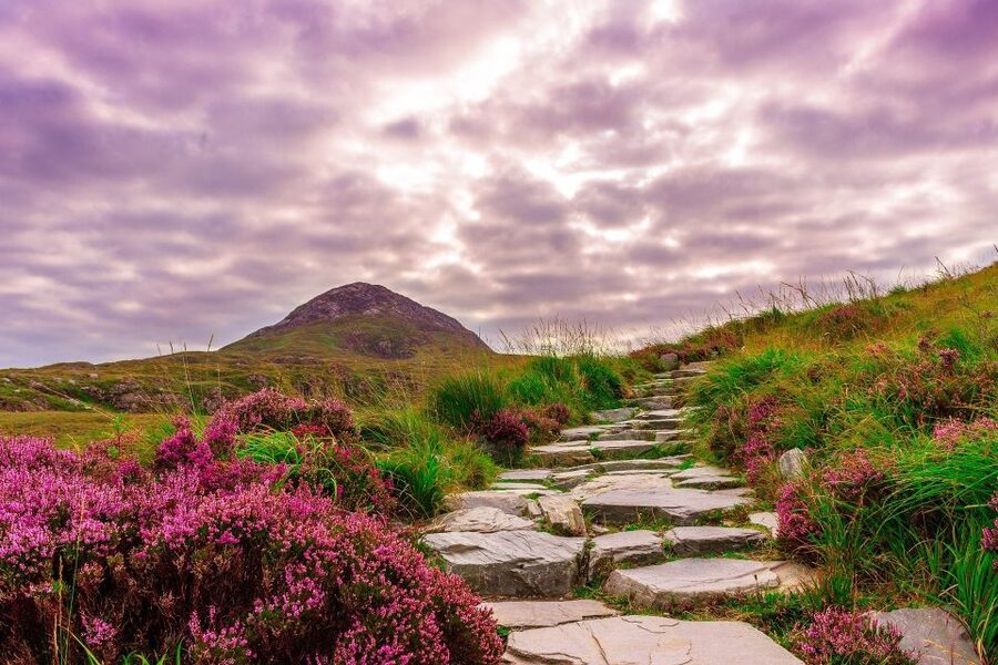 From Dublin: Connemara and Galway Bay Day Tour - Who should book this tour, and who should think twice