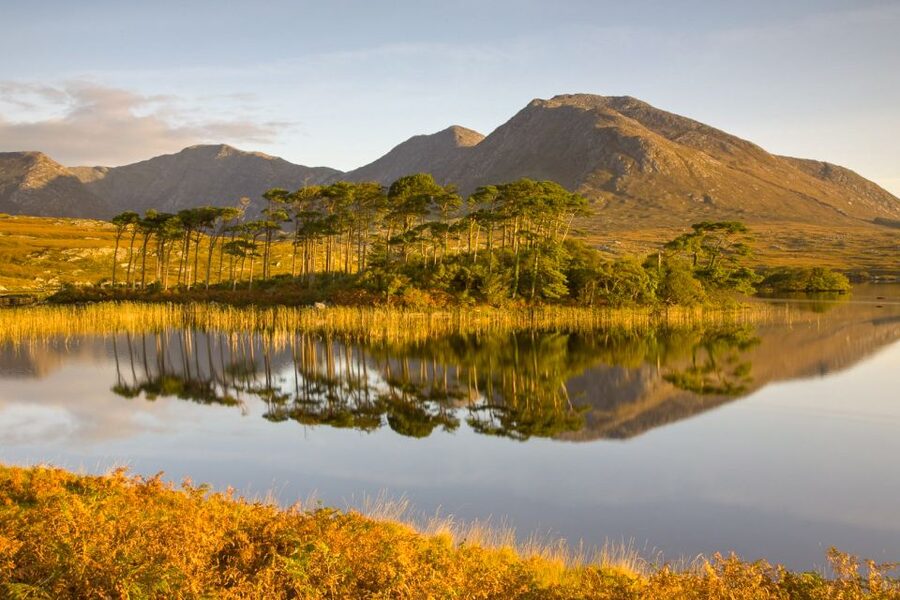 From Dublin: Connemara and Galway Full-Day Tour - Value check: is $85 worth it for this itinerary?