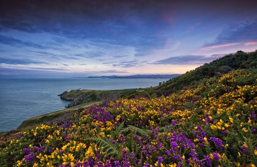 From Dublin: Half-Day Guided Coastal Tour to Howth Village - Key points before you go