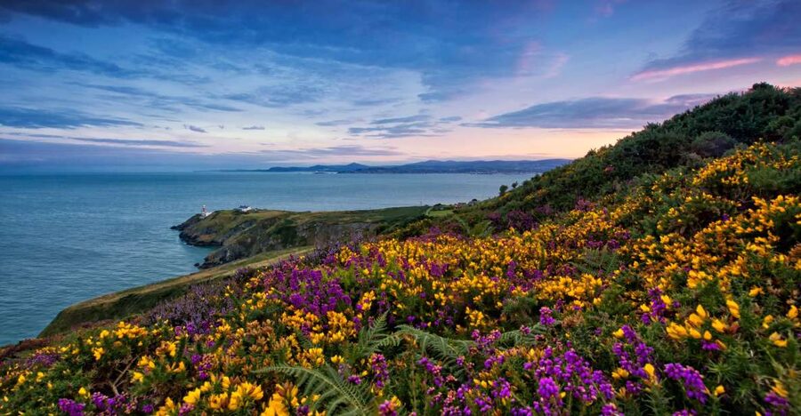 From Dublin: Half-Day Guided Coastal Tour to Howth Village - Getting from Dublin to Howth: simple, scenic, and timed well