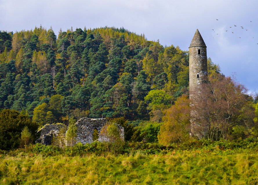 From Dublin: Half-Day Trip to Glendalough and Wicklow - From Dublin to the Wicklow Mountains, fast enough to matter