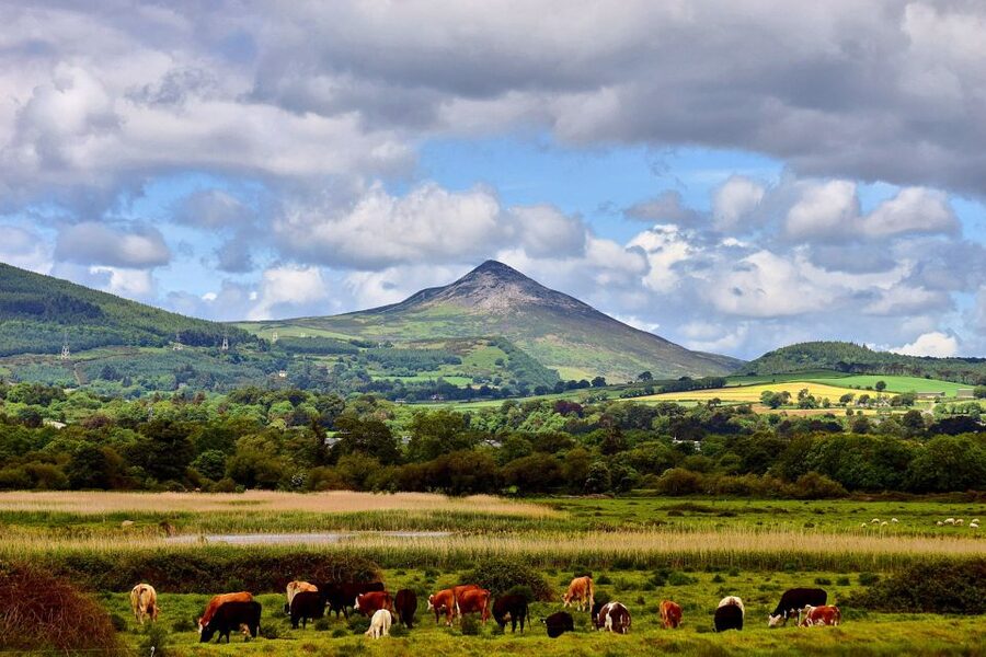 From Dublin: Wicklow Mountains, Glendalough & Kilkenny Tour - Should you book it or skip it?