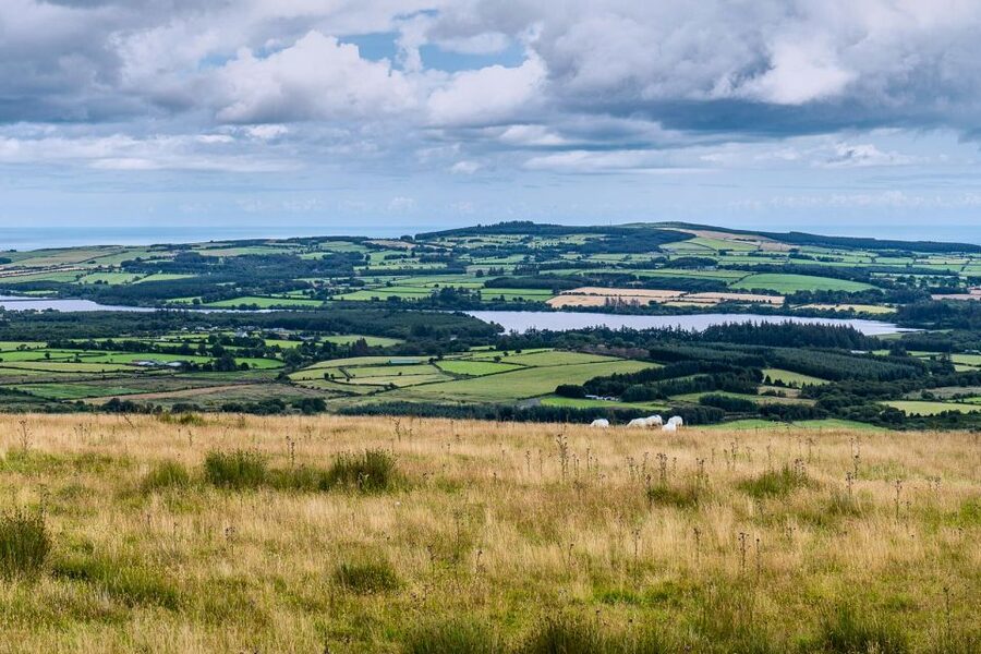 From Dublin: Wicklow Mountains, Glendalough & Kilkenny Tour - Wicklow Mountains National Park: Wicklow Gap and the movie-road drive