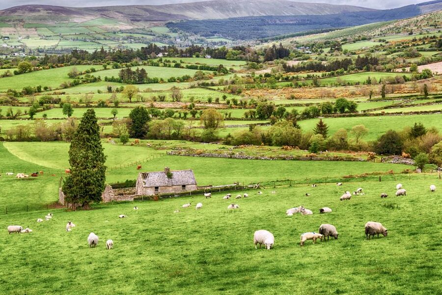 From Dublin: Wicklow Mountains, Glendalough & Kilkenny Tour - Price and value: is $45 a fair deal?