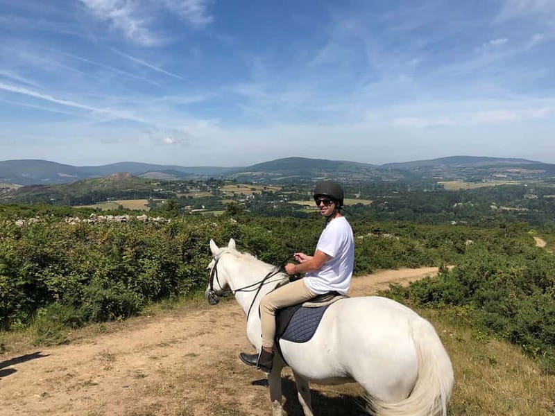 From Dublin: Wicklow, Powerscourt, and Glendalough Day Tour - Enniskerry Lunch Break: A Real Village Stop Instead of a Drive-By