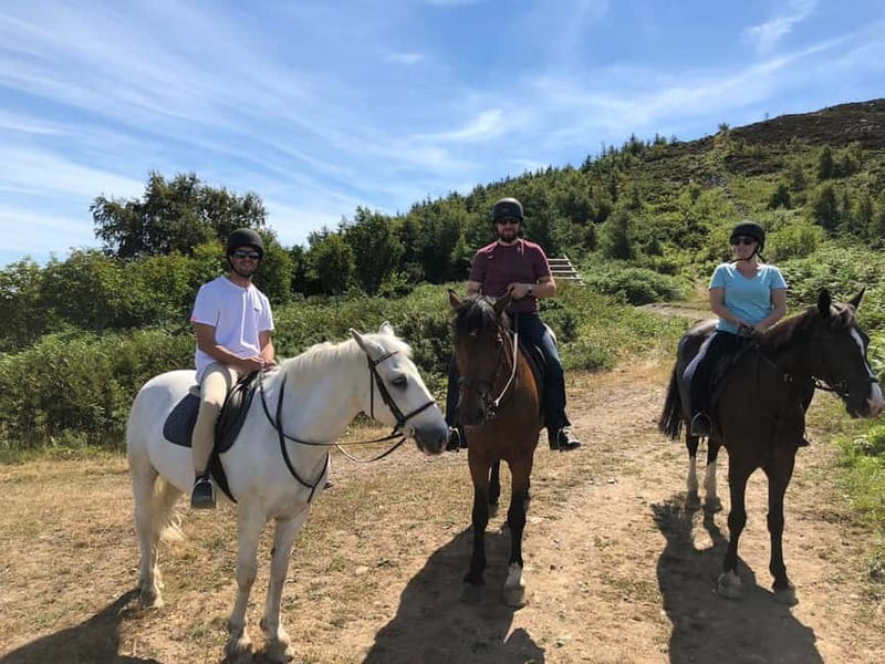 From Dublin: Wicklow, Powerscourt, and Glendalough Day Tour - The Guide Factor and Small-Van Comfort (Why the Day Feels Easy)