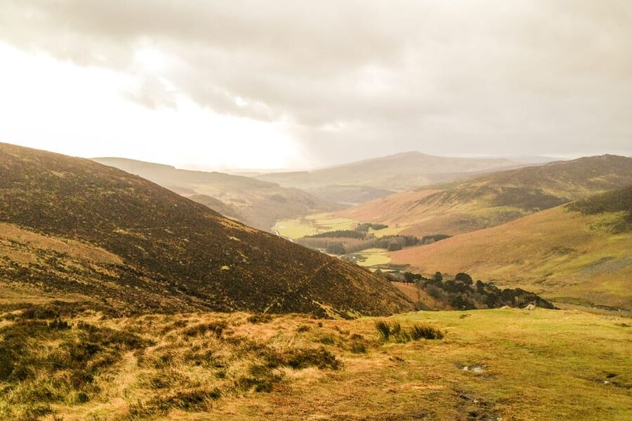 From Dublin: Wild Wicklow Mountains and Glendalough Tour - Glendalough Monastery: Round Tower, Stone Churches, and Valley Calm