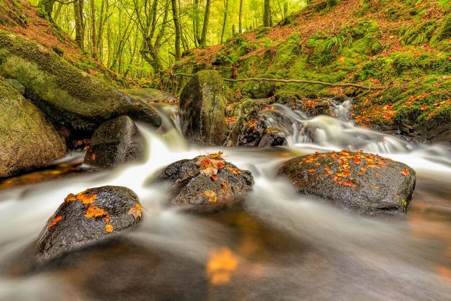 From Dublin: Wild Wicklow Mountains and Glendalough Tour - The Walk Between Upper and Lower Lakes: Your 60 Minutes of Freedom