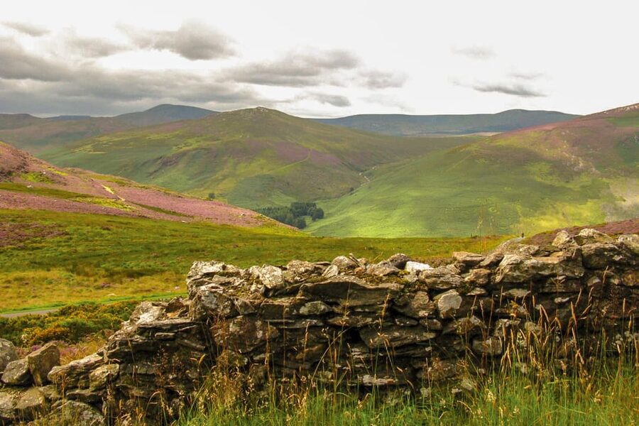 From Dublin: Wild Wicklow Mountains and Glendalough Tour - Sugarloaf Mountain and the Return to Dublin