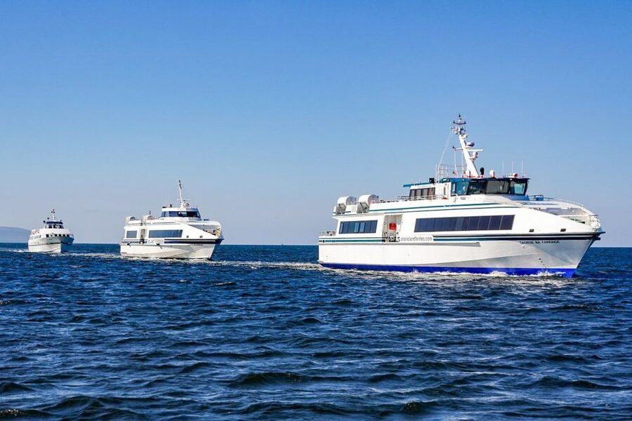 From Galway: Aran Islands & Cliffs of Moher Day Cruise - What You’ll Spot: Sea Birds, Wildlife, and a Harry Potter Film Cave