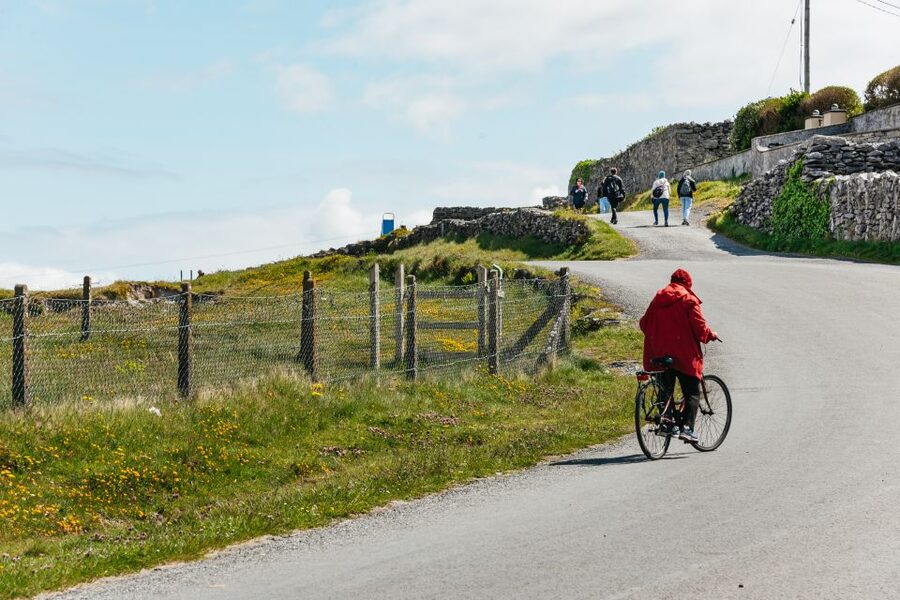 From Galway: Aran Islands & Cliffs of Moher Full-Day Trip - Who this tour suits best, and who might want a different plan