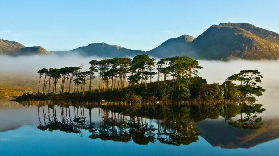 From Galway: Castles of Connemara Full-Day Tour - What You Get From the Guides, and Why It Shows in the Reviews
