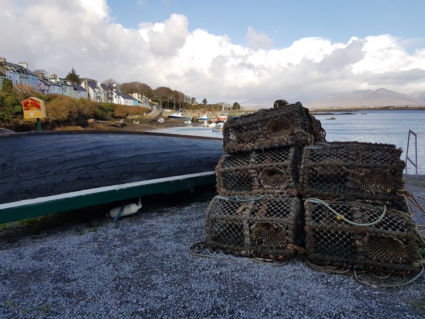 From Galway: Connemara and Kylemore Abbey Day Tour - Key things to know before you go