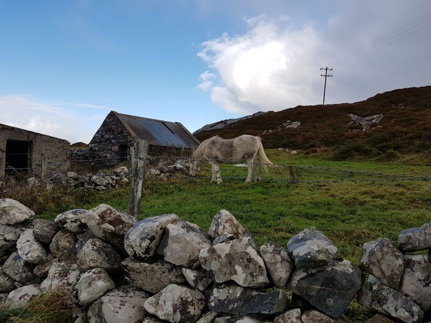 From Galway: Connemara and Kylemore Abbey Day Tour - FAQ