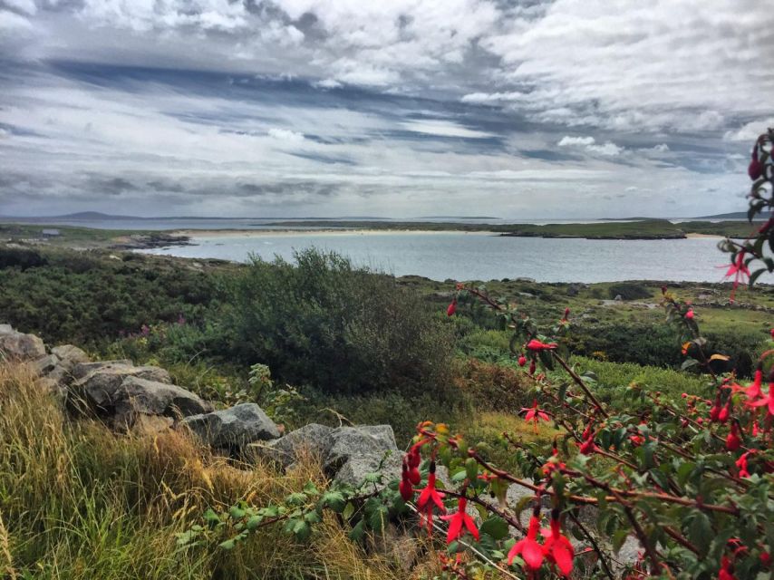 From Galway: Connemara and Kylemore Abbey Day Tour - Wild Atlantic Way Coastal Drive: Why the Route Feels Worth It