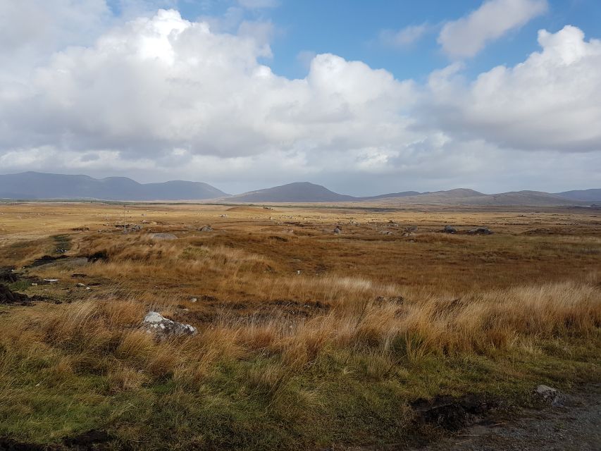 From Galway: Connemara and Kylemore Abbey Day Tour - Price and Value: Is $57 a Good Deal for This Day Trip?