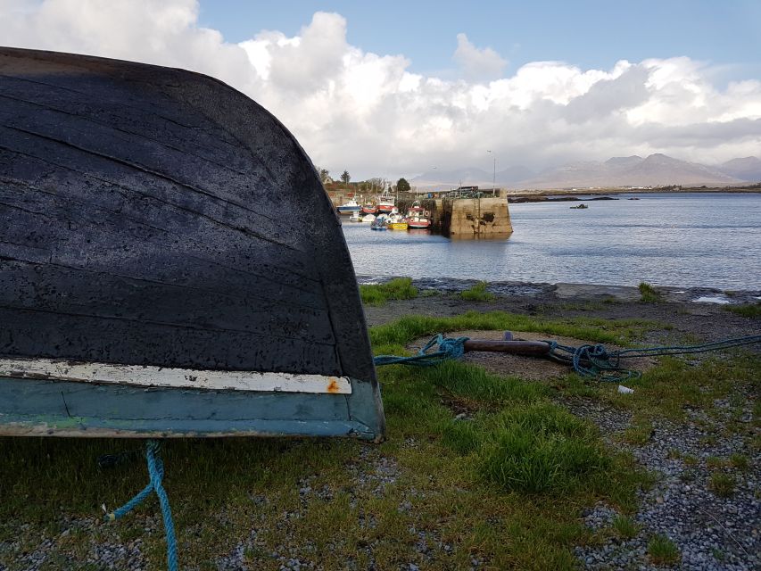 From Galway: Connemara and Kylemore Abbey Day Tour - Should You Book This Connemara and Kylemore Abbey Day Tour?