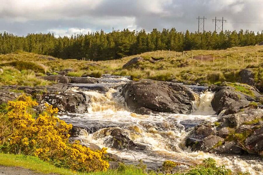 From Galway: Connemara & Kylemore Abbey Full-Day Guided Tour - Key Things I’d Not Skip