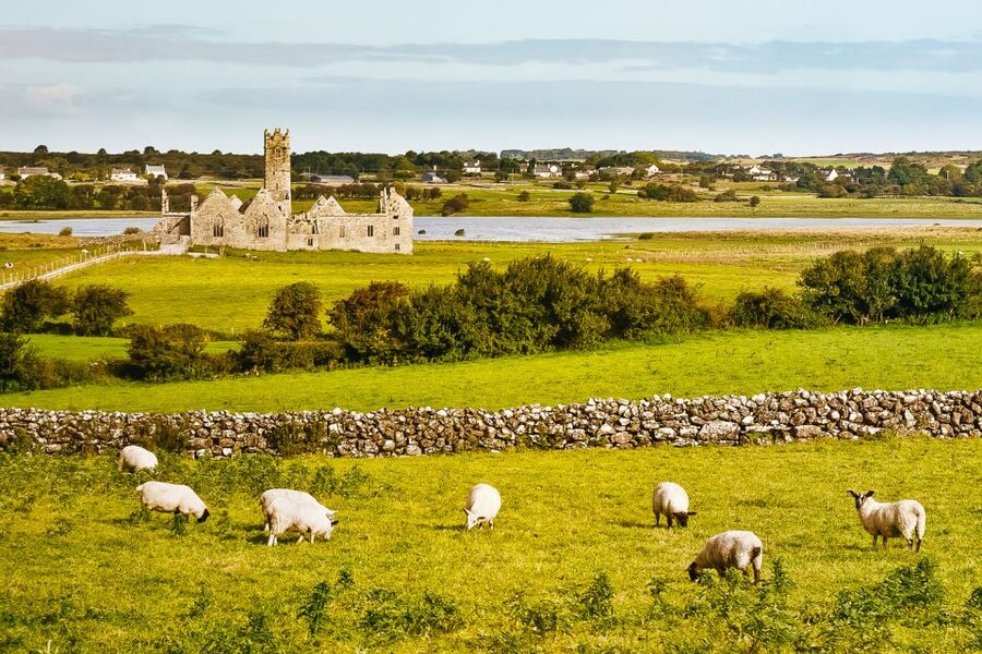 From Galway: Connemara & Kylemore Abbey Full-Day Guided Tour - Kylemore Abbey: Your 2-Hour Anchor (Plus Lunch Time)