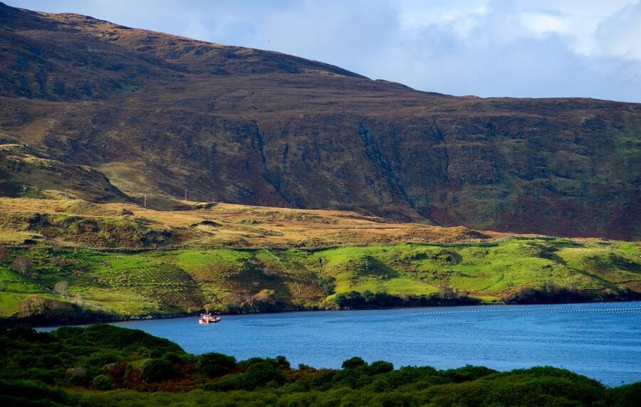 From Galway: Connemara National Park Full Day Tour - Who this tour fits best, and who should rethink it