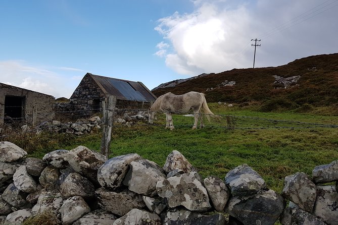 From Galway: Guided tour of Connemara with 3 hour stop in Kylemore Abbey - Comfort on board, seat direction, and what to bring