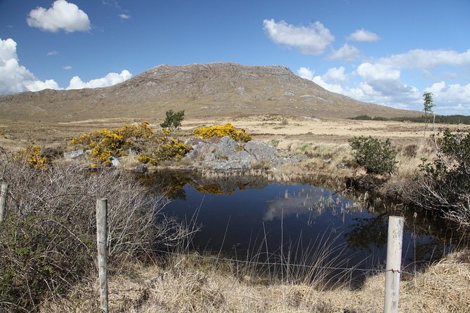 From Galway: Guided tour of Connemara with 3 hour stop in Kylemore Abbey - Salthill, Spiddal, and the Wild Atlantic Way route you can actually enjoy