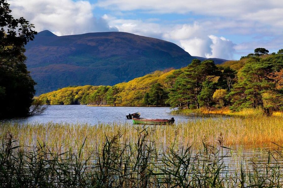 From Killarney: Ring of Kerry Full-Day Tour - Why this Ring of Kerry tour works so well from Killarney
