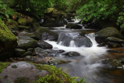 Ring of Kerry Full-Day Tour
