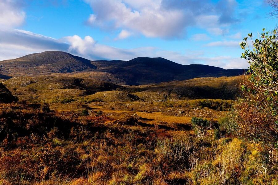 From Killarney: Ring of Kerry Full-Day Tour - Entering Killarney National Park at Molls Gap and Ladies View
