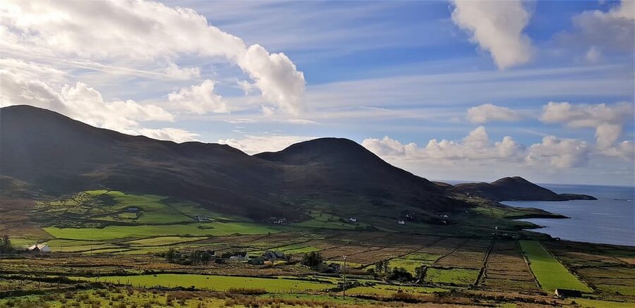 From Killarney: Ring of Kerry Guided Day Tour - Price and value: what you get for about $51 per person