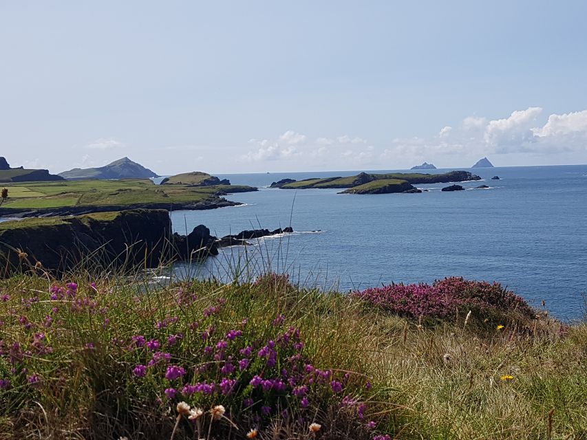 From Killarney: 'Ring of Kerry' Mountain Road 1-Day Bus Tour - Price and value: what $45 buys you, and what it does not