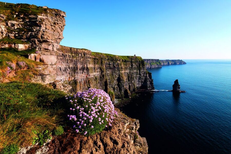 From Limerick: Full-Day Guided Tour of Cliffs of Moher - Price and value from Limerick: is $56 a smart deal?