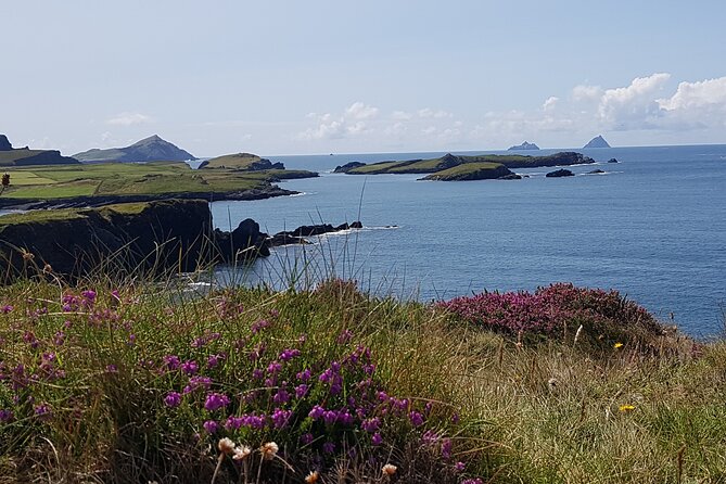 Full-Day Ring of Kerry Tour from Killarney - Ladies’ View: the quick stop that sets the tone
