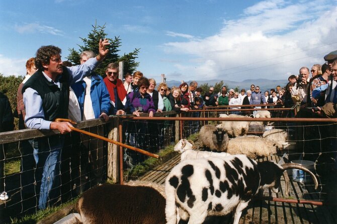 Full-Day Ring of Kerry Tour from Killarney - Lunch reality: what you get, what you pay for, and how to make it work