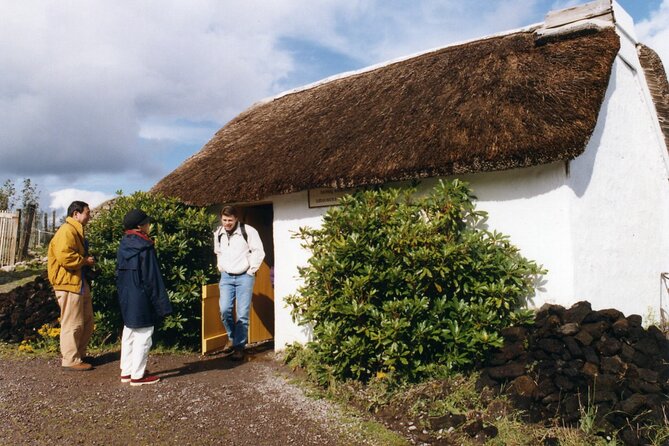 Full-Day Ring of Kerry Tour from Killarney - Tour comfort and timing: front-seat upgrade and winding-road stamina