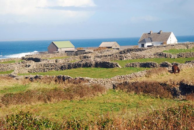 Galway to Aran Islands Inisheer, Doolin, Cliffs of Moher Day Tour - Inisheer in 2 hours: small island time done right