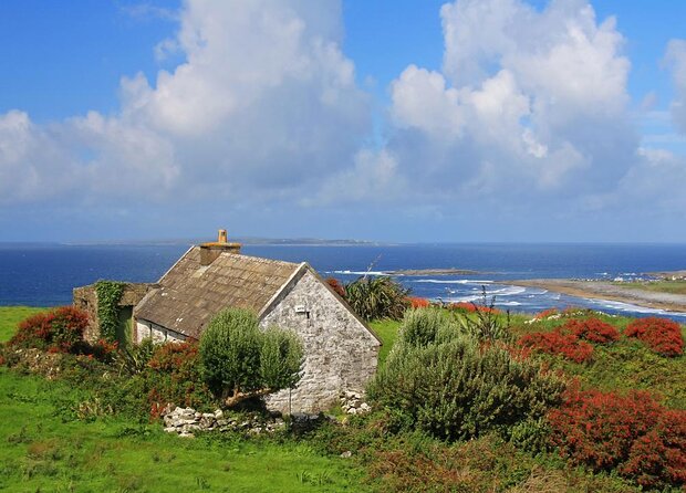 Galway to Cliffs of Moher, Aillwee Cave & Dunguaire Castle Tour - Key highlights to know before you go