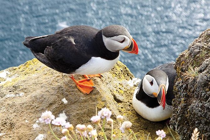 Galway to Cliffs of Moher, Aillwee Cave & Dunguaire Castle Tour - Wild Atlantic Way pull-offs: the extra views you only get with a guide