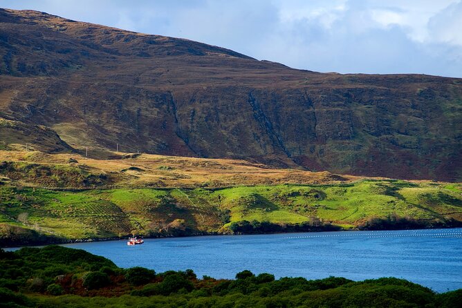 Galway to Connemara National Park Day Tour - What to pack and how to avoid common day-trip snags