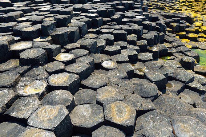 Giant's Causeway Custom Tailored Award Winning Private Tour. - What the Private Driver Actually Does (And Why It Matters on Long Roads)