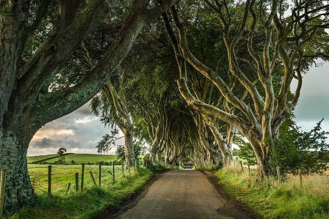 Giant's Causeway Day Tour from Dublin - Giant’s Causeway: 90 Minutes to Walk the Hexagons and Take the Optional Mobility Bus