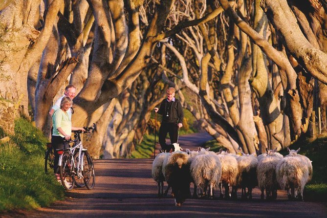 Giant's Causeway Day Tour from Dublin - Dunluce Castle Ruins: Cliff-Edge Drama With Included Admission