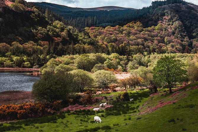 Glendalough Day Tour from Dublin: Including Kilkenny City - How Guided It Feels on the Day, Plus Realistic Time Limits