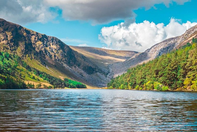 Glendalough & Wicklow Mountains Half Day Morning Tour from Dublin - The Wicklow Mountains drive: what you actually see from the bus window